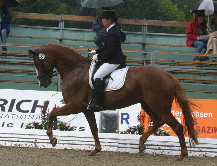 Diosita riden in Germany