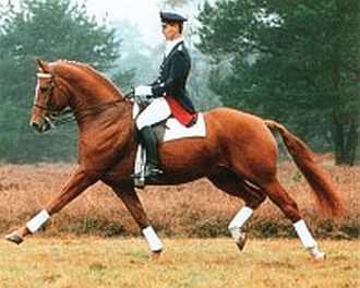 Weltmeyer