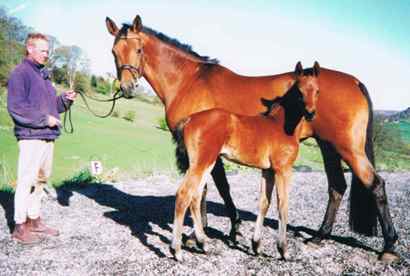 Dornroschen with her breeder as a foal
