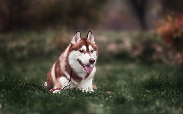 mt-1258-gallery-img03.jpg