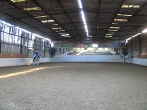 2 greys by Dimaggio working in the indoor school