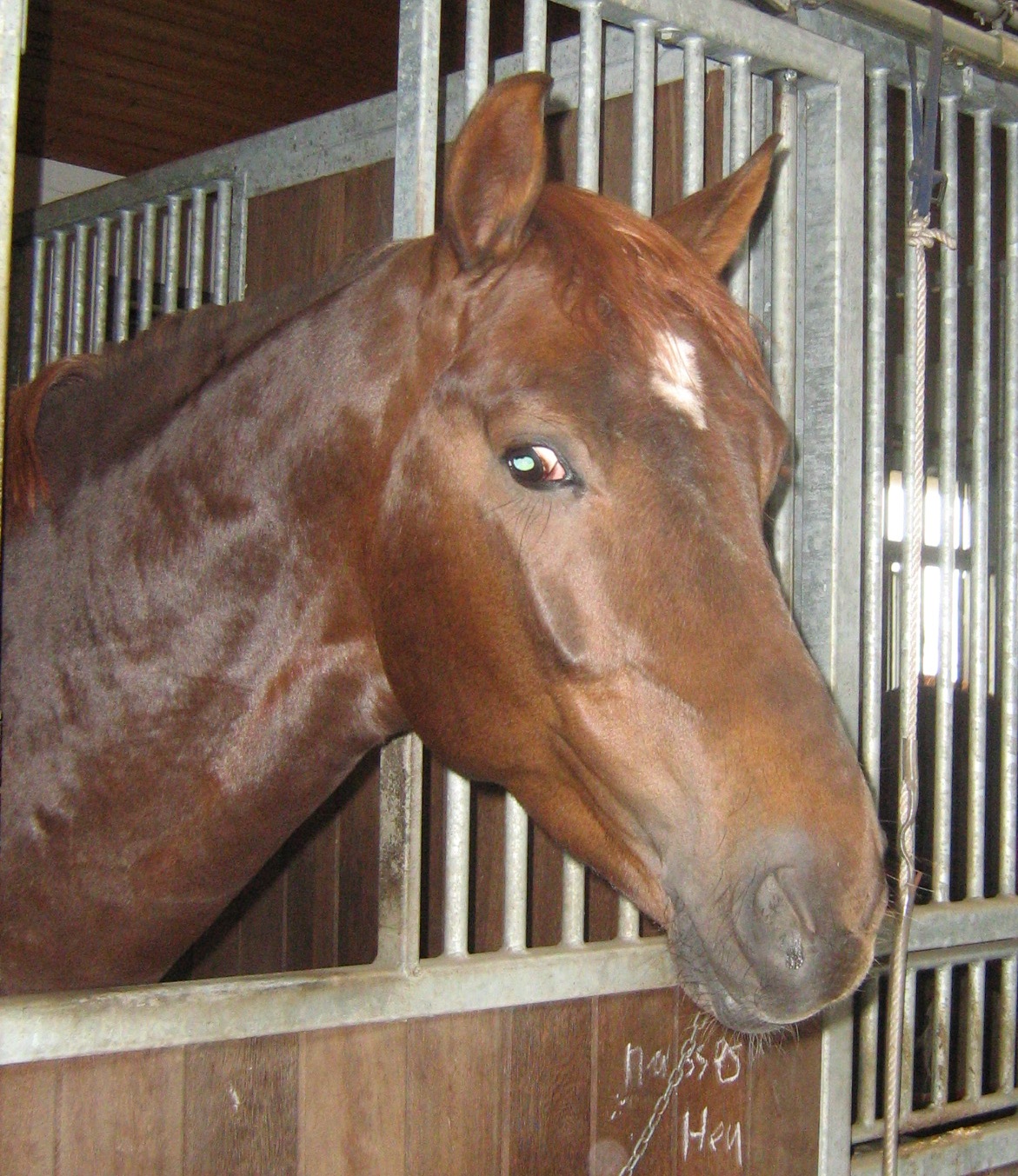 Arthur pictured in Germany 28 March 2010