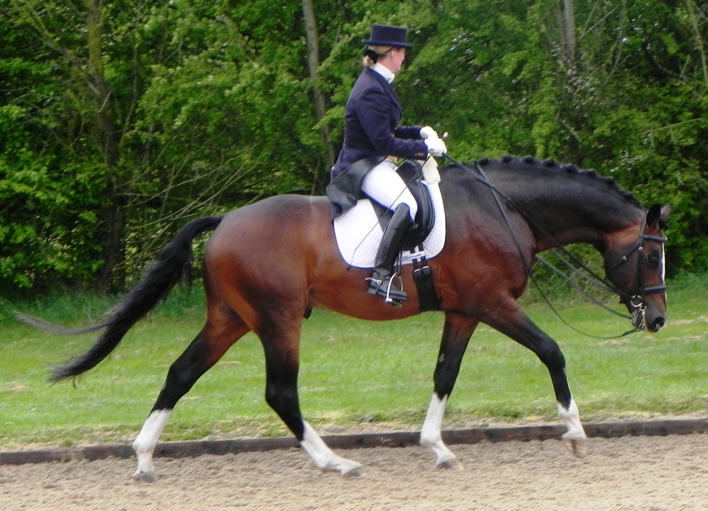 Rhondeo having finished his test