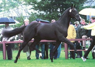 Nobleman